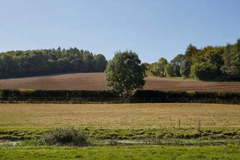 Amersham 400 acre farm, L696 (photo 47)