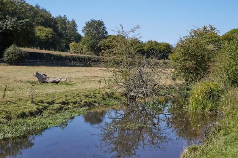 Amersham 400 acre farm, L696 (photo 48)