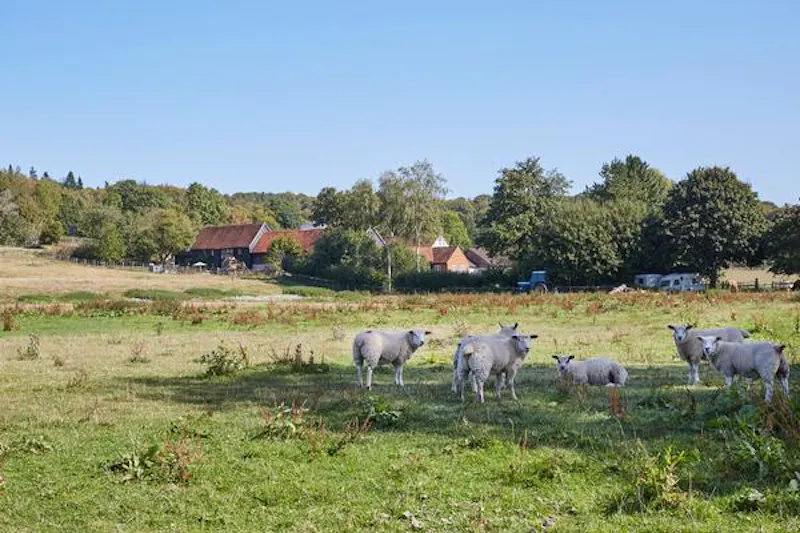 Countryside at Amersham 400 acre farm, L696 (photo 49)
