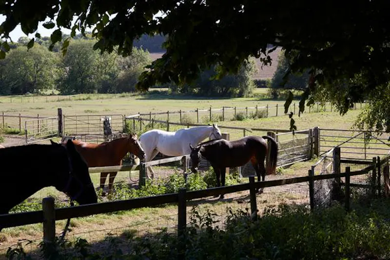Amersham 400 acre farm, L696 (photo 58)