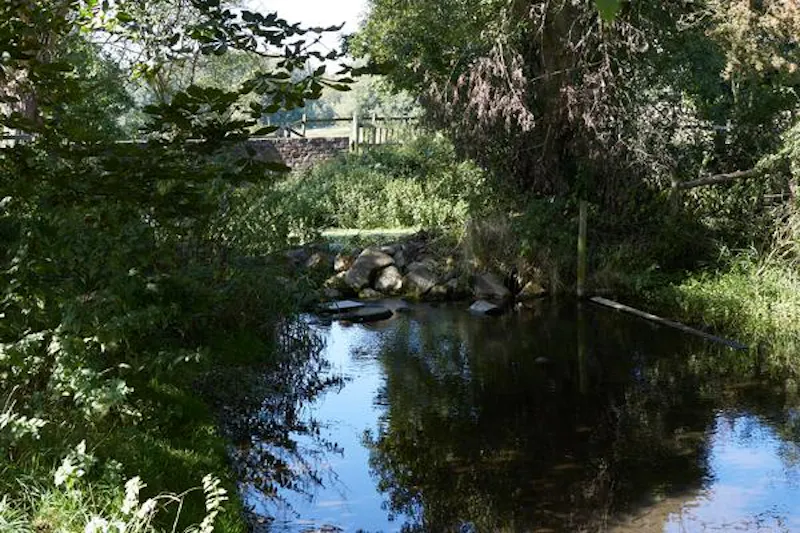 Pond at Amersham 400 acre farm, L696 (photo 59)