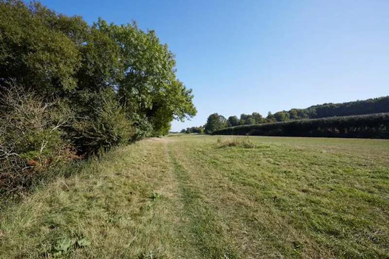 Amersham 400 acre farm, L696 (photo 63)