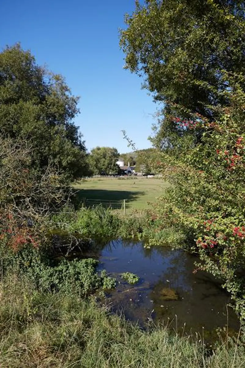 Amersham 400 acre farm, L696 (photo 64)