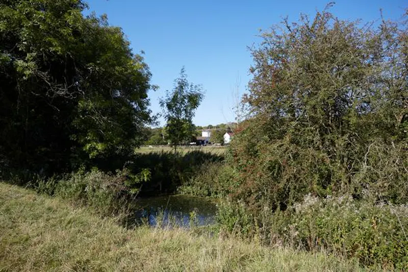 Amersham 400 acre farm, L696 (photo 65)