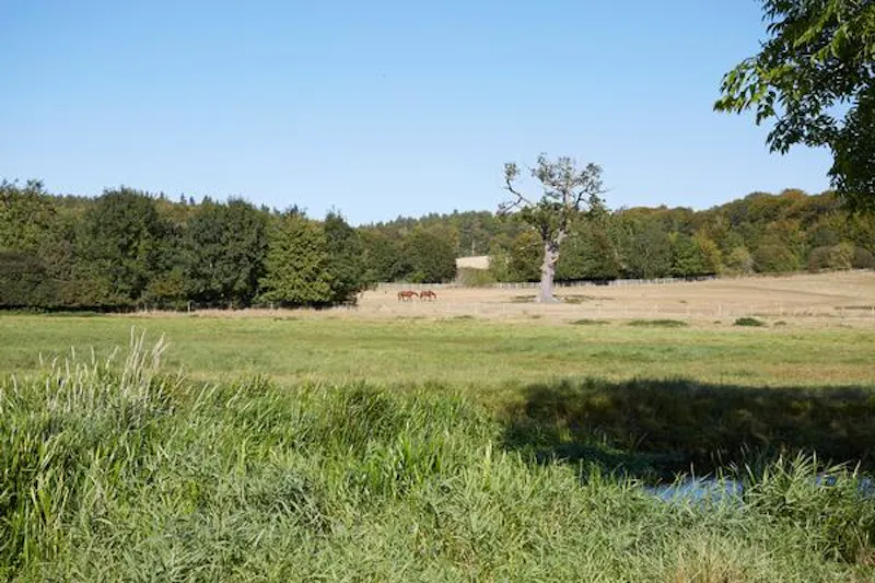 Amersham 400 acre farm, L696 (photo 68)