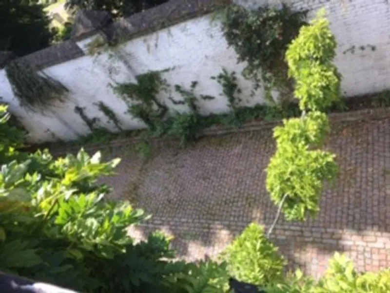 Cobbled Chelsea mews house, A1495 (photo 20)