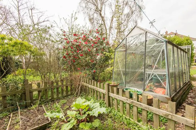 Spacious Ealing family house, D2421 (photo 47)