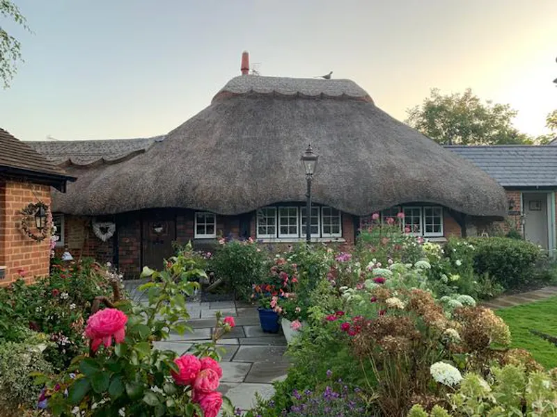 Garden at Bognor Regis quaint cottage, C911 (photo 13)