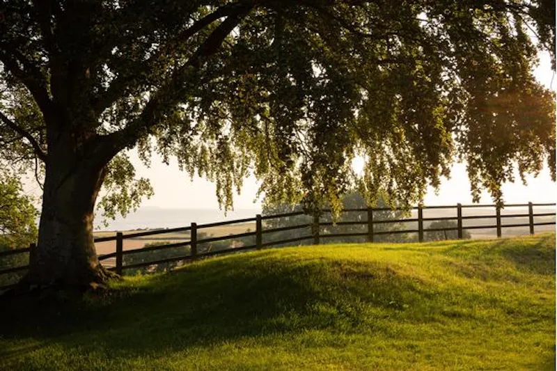 Early Somerset estate by the sea, M326 (photo 34)