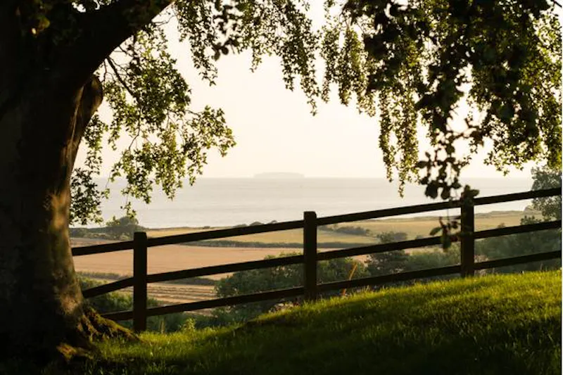 Early Somerset estate by the sea, M326 (photo 35)