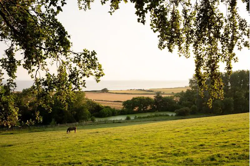 Early Somerset estate by the sea, M326 (photo 36)