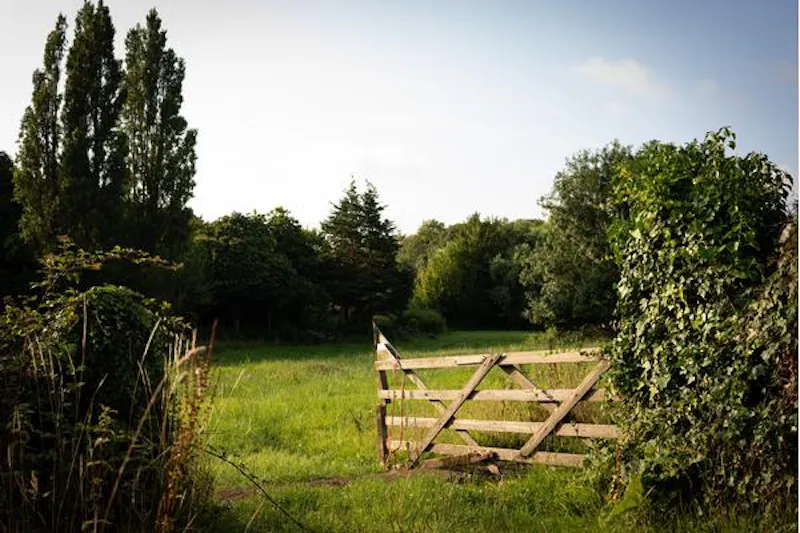 Early Somerset estate by the sea, M326 (photo 57)