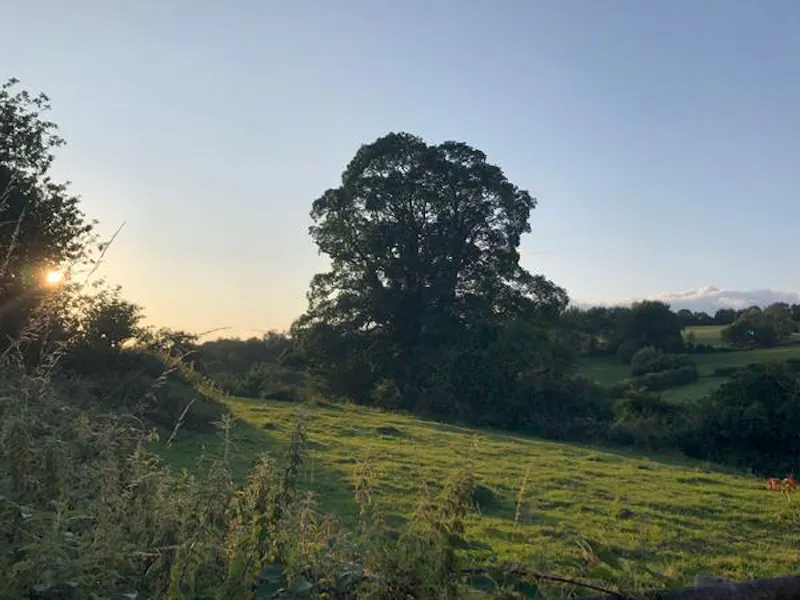 Remote ancient Cotswold farm, M327 (photo 25)