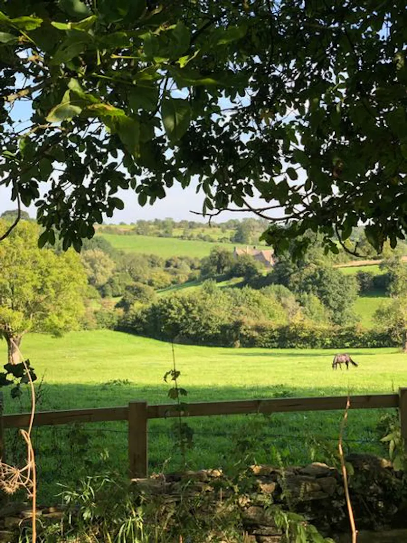 Remote ancient Cotswold farm, M327 (photo 46)
