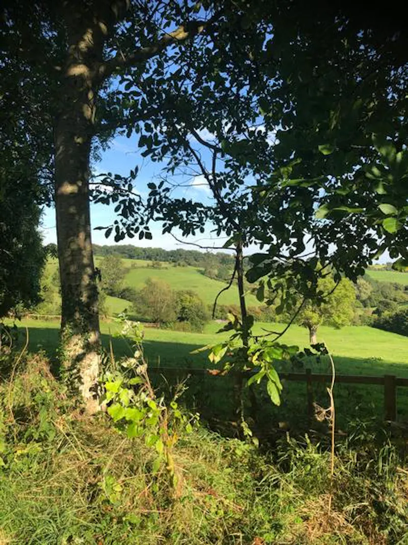 Remote ancient Cotswold farm, M327 (photo 47)