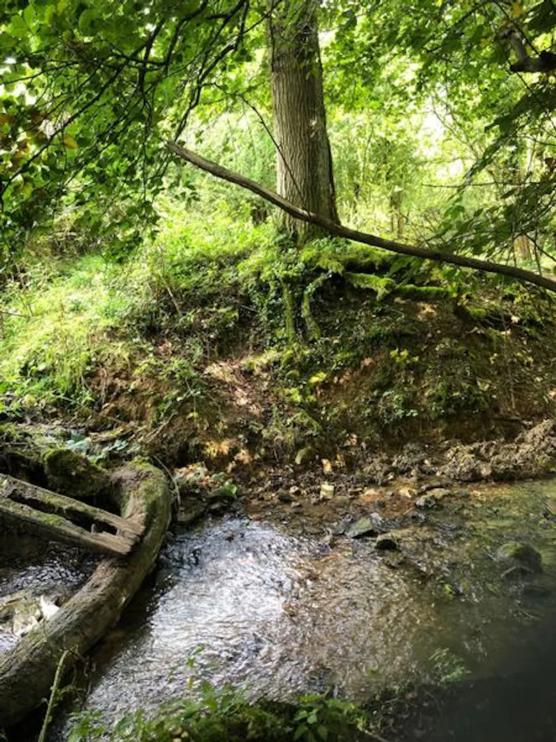 Remote ancient Cotswold farm, M327 (photo 54)