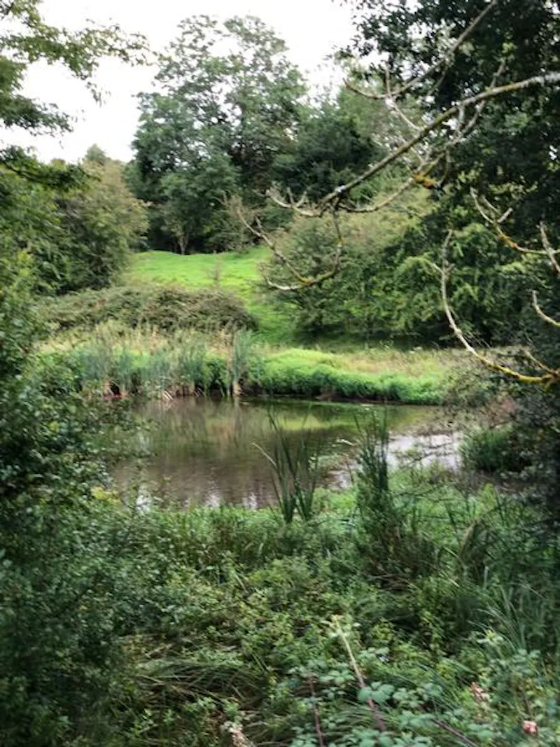 Remote ancient Cotswold farm, M327 (photo 55)