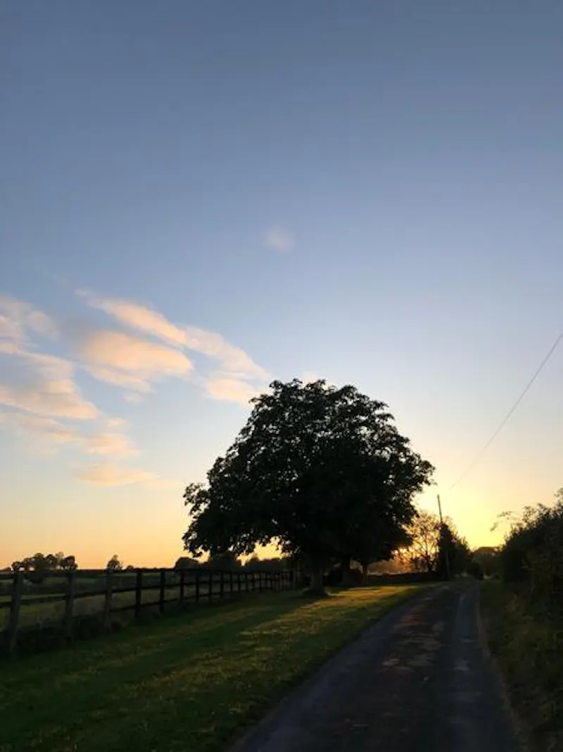 Remote ancient Cotswold farm, M327 (photo 59)