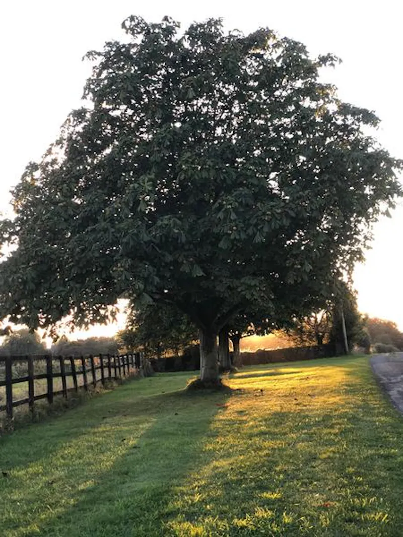 Remote ancient Cotswold farm, M327 (photo 60)