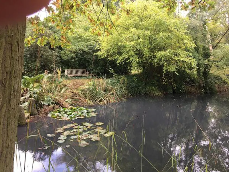 Pond at Georgian Chigwell house, A1504 (photo 19)