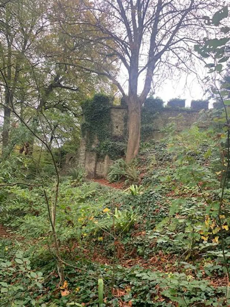 Cornish castle and gardens, G307 (photo 69)