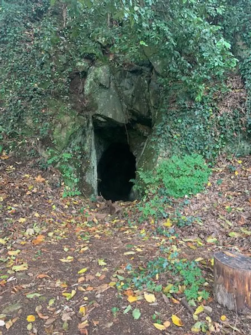 Cornish castle and gardens, G307 (photo 72)