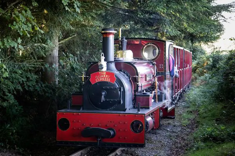 Steam-driven fairground museum, V162 (photo 8)