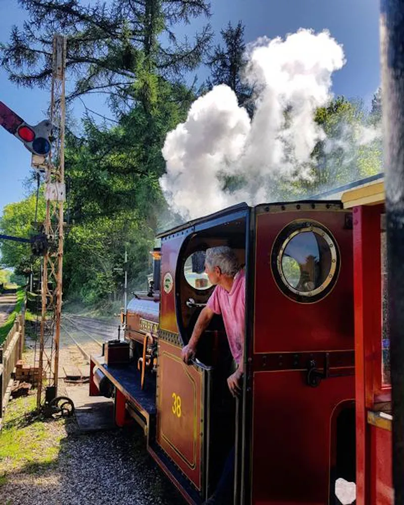 Steam-driven fairground museum, V162 (photo 9)