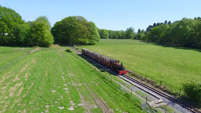 Steam-driven fairground museum, V162 (photo 11)