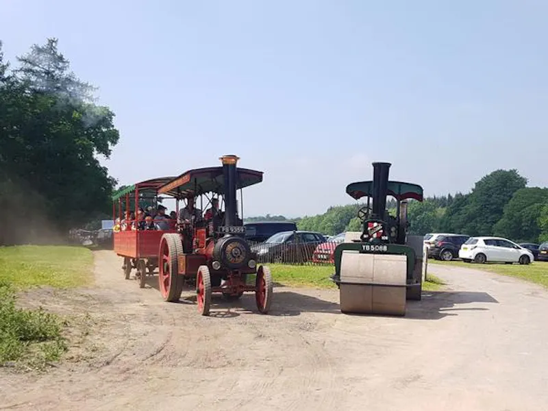 Steam-driven fairground museum, V162 (photo 13)