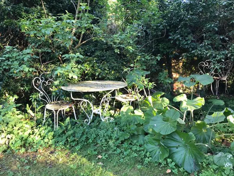 Garden - wild at Bohemian house near Newark, A1509 (photo 60)