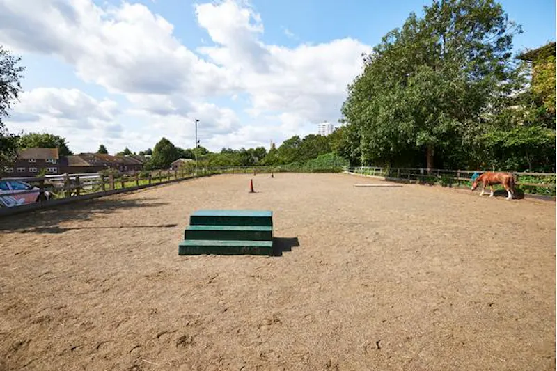 Kentish Town Farm, L703 (photo 3)