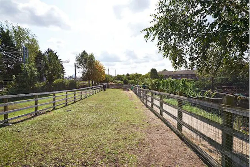 Kentish Town Farm, L703 (photo 4)