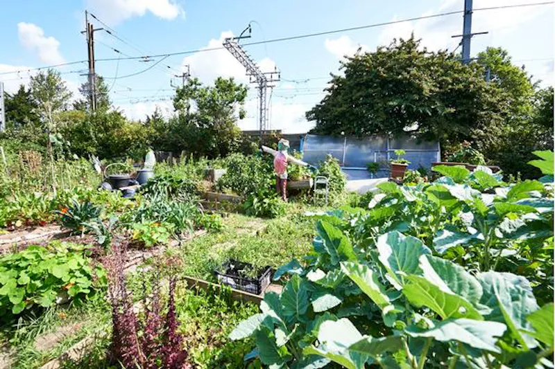 Kentish Town Farm, L703 (photo 10)