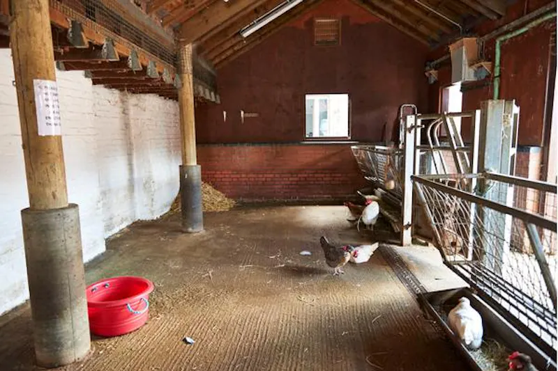 Kentish Town Farm, L703 (photo 15)