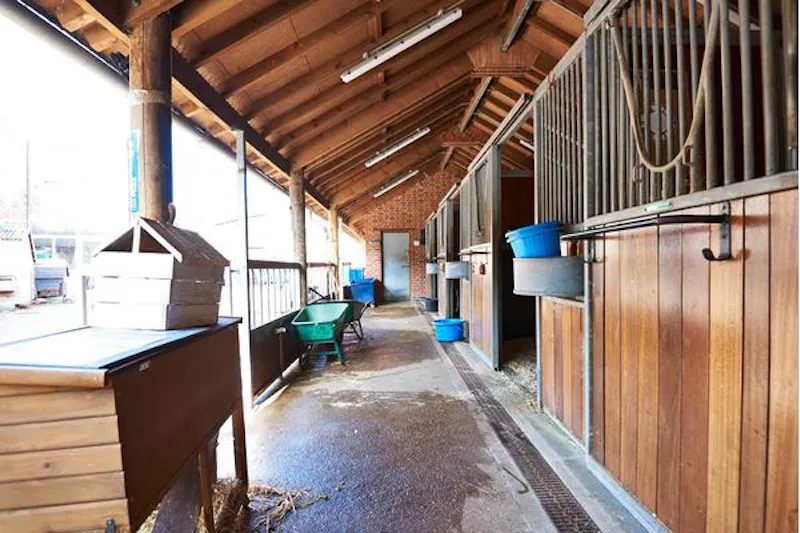 Kentish Town Farm, L703 (photo 17)