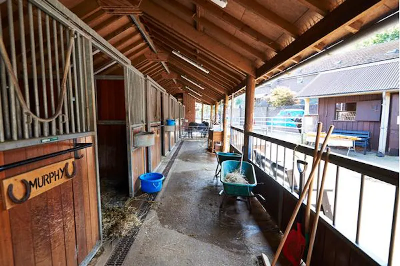 Kentish Town Farm, L703 (photo 18)