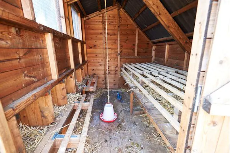 Kentish Town Farm, L703 (photo 19)