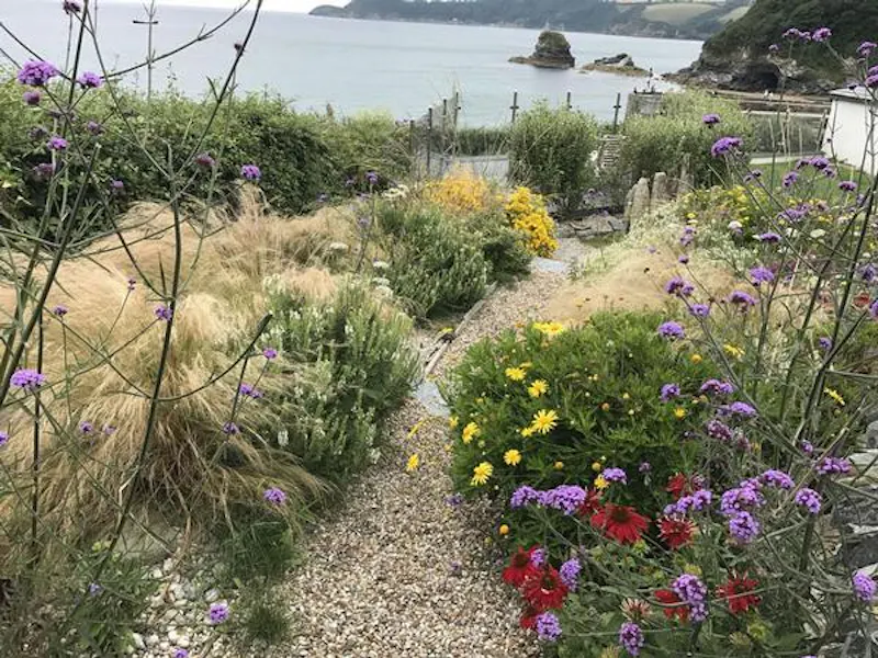 Film location C913 in Cornwall (photo 24)