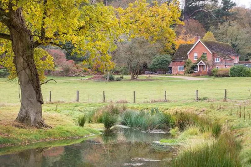 Garden at Pretty Sussex open plan house, D2437 (photo 15)