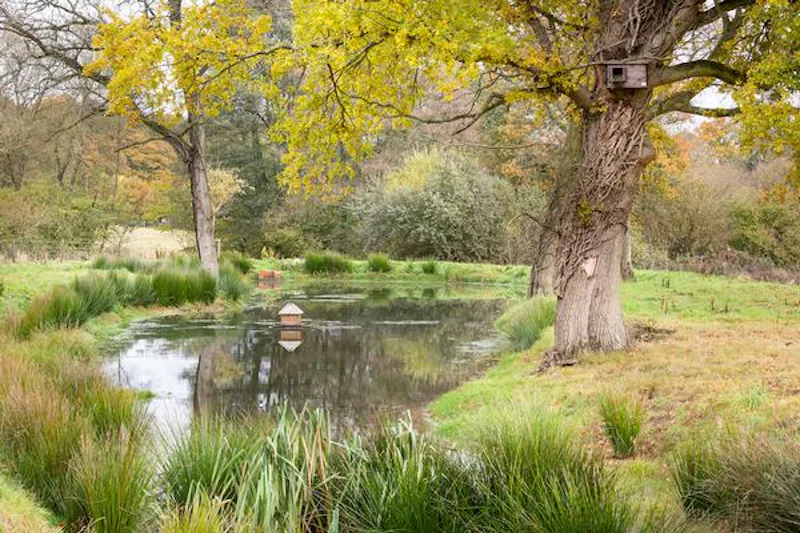 Pond at Pretty Sussex open plan house, D2437 (photo 17)