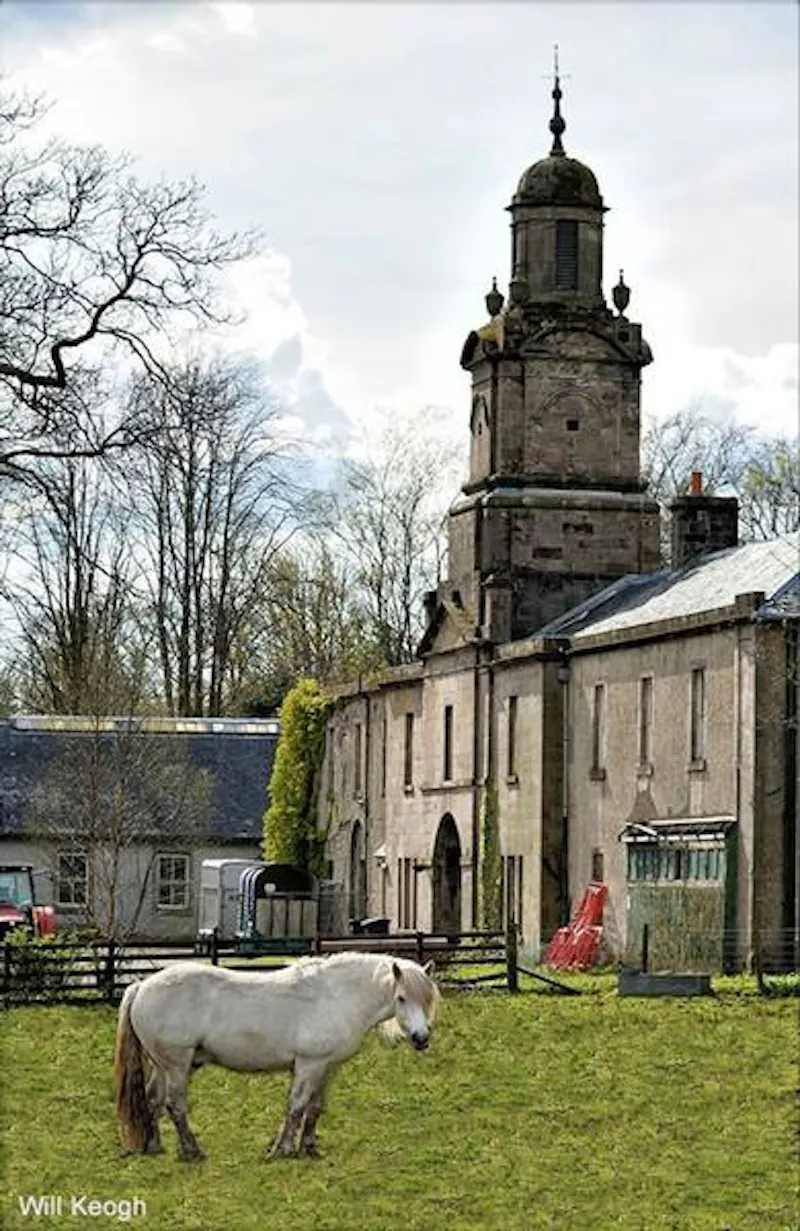 Ornate Scottish estate near Glasgow, G308 (photo 44)