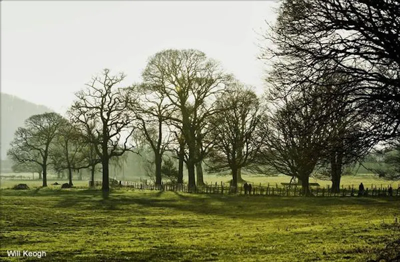 Ornate Scottish estate near Glasgow, G308 (photo 56)
