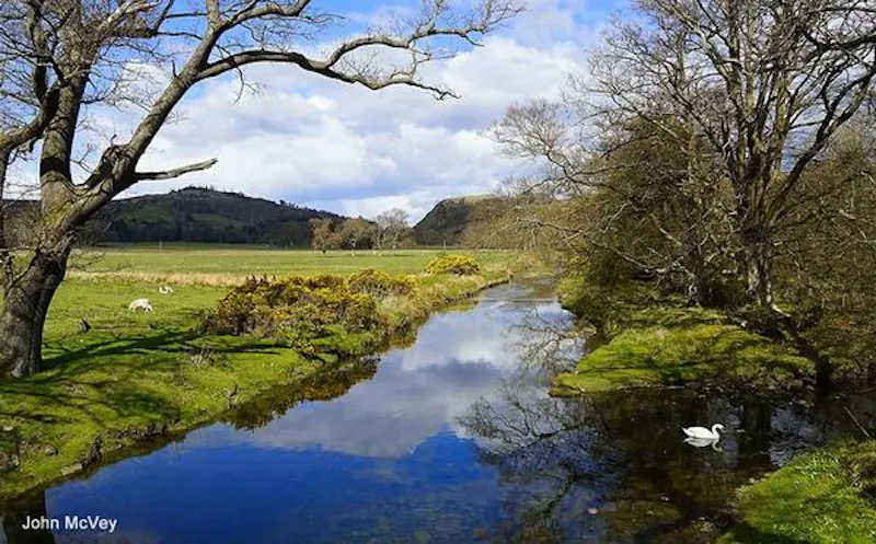 Ornate Scottish estate near Glasgow, G308 (photo 57)