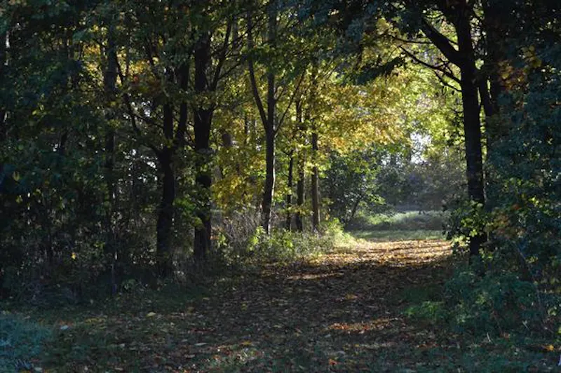 Film location L705 in Oxfordshire (photo 57)