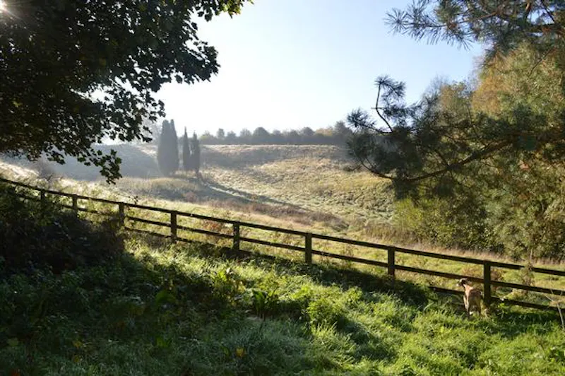Film location L705 in Oxfordshire (photo 58)