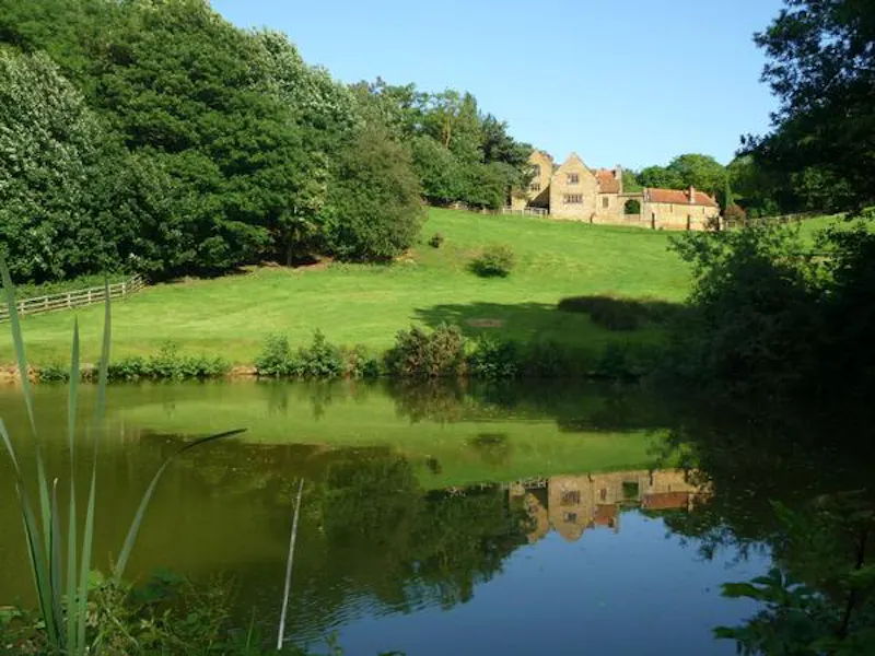 Pond at Film location L705 in Oxfordshire (photo 59)