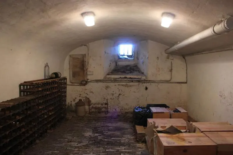 Cellar at Medieval hall in Essex, M330 (photo 88)