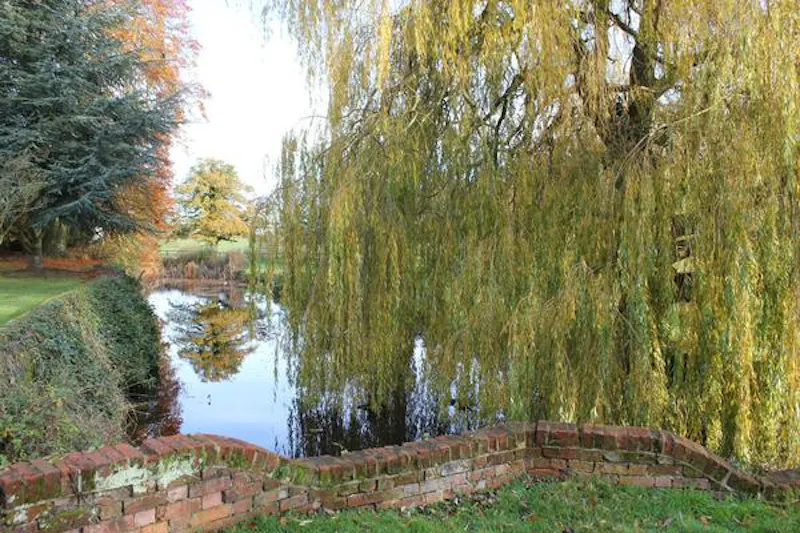 Medieval hall in Essex, M330 (photo 114)