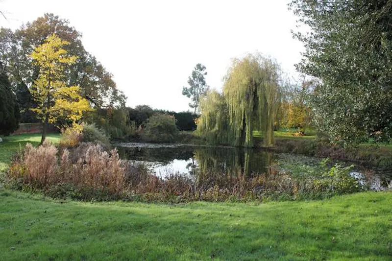 Pond at Medieval hall in Essex, M330 (photo 115)